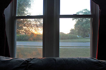 The View